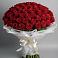 Букет 101 Красная роза Блэк Мэджик в Куеда