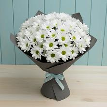 Букет цветов из:  Хризантемы #REPLACE_PRED# Куеда