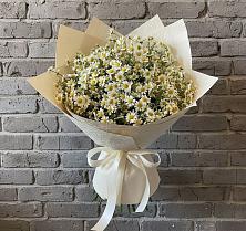 Букет цветов из:  Ромашки в Куеда