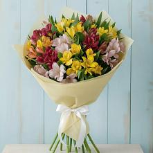 Букет цветов из:  Альстромерии в Куеда