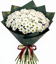 Букет цветов из:  Хризантемы #REPLACE_PRED# Куеда