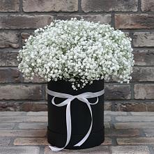 Цветочная композиция из Гипсофила в шляпной коробке в Куеда