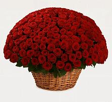 Премиум букет из: Розы #REPLACE_PRED# Куеда