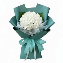 Букет цветов из:  Гортензия в Куеда